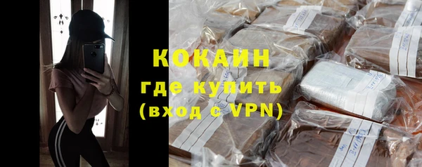хмурый Мегион