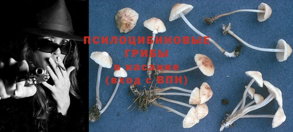 амф Медногорск