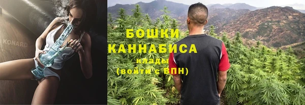 хмурый Мегион