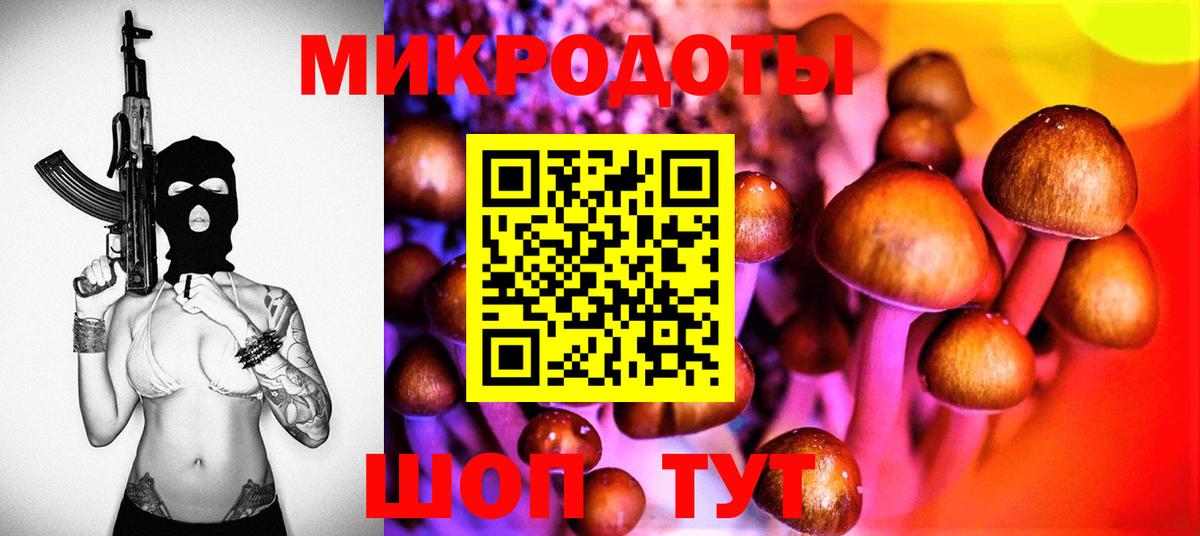 Псилоцибиновые грибы Cubensis Сызрань