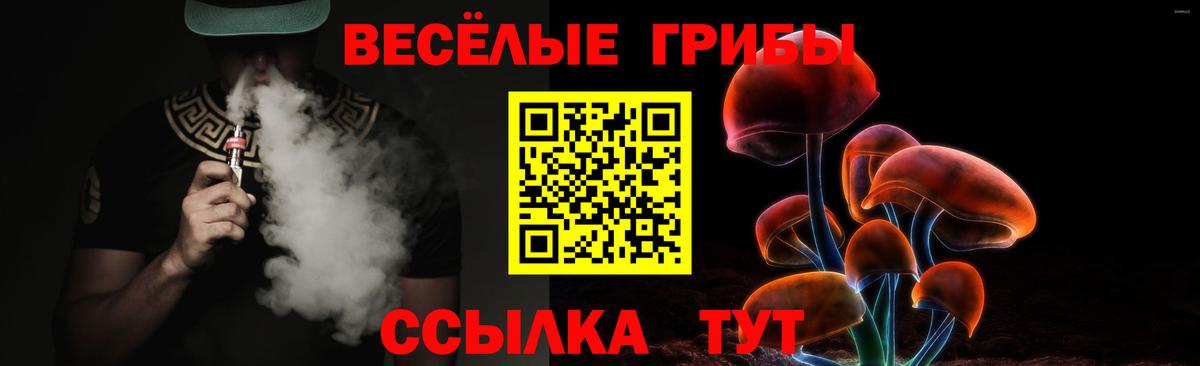Галлюциногенные грибы Psilocybe  Вход с VPN  Сызрань 